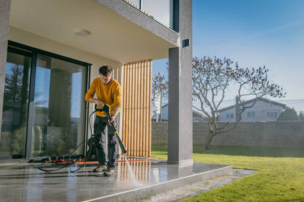 Best Pre-Holiday Cleaning  in Pine Hill, NJ